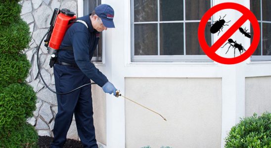 Hanak Fare İlaçlama böcek ilaçlama ve haşere kontrolü — ilaclama-tr.com